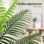 AP-TREE-PALM-100-202511072004-05.jpg