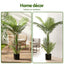 AP-TREE-PALM-100-202511072004-06.jpg