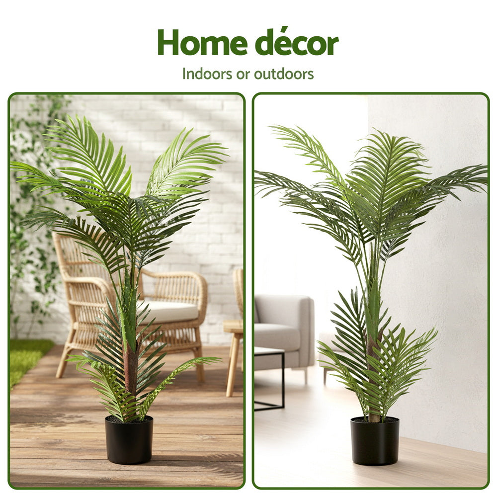 AP-TREE-PALM-100-202511072004-06.jpg