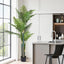 AP-TREE-PALM-180-202511072004-00.jpg