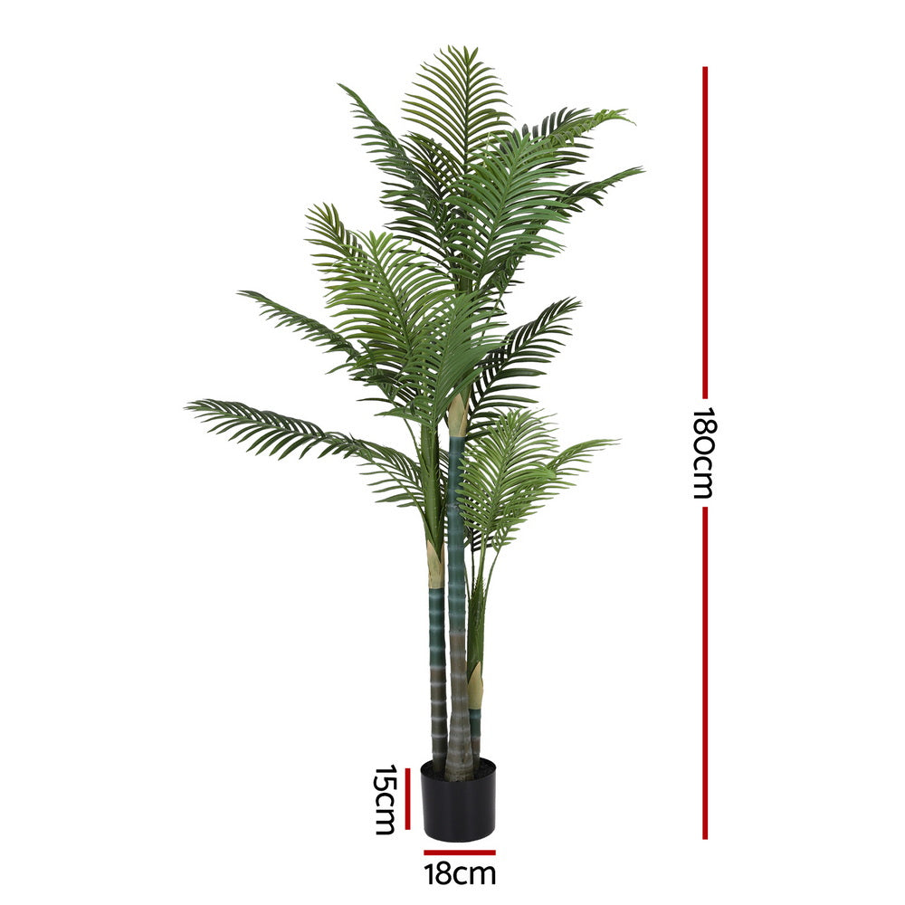 AP-TREE-PALM-180-202511072004-02.jpg