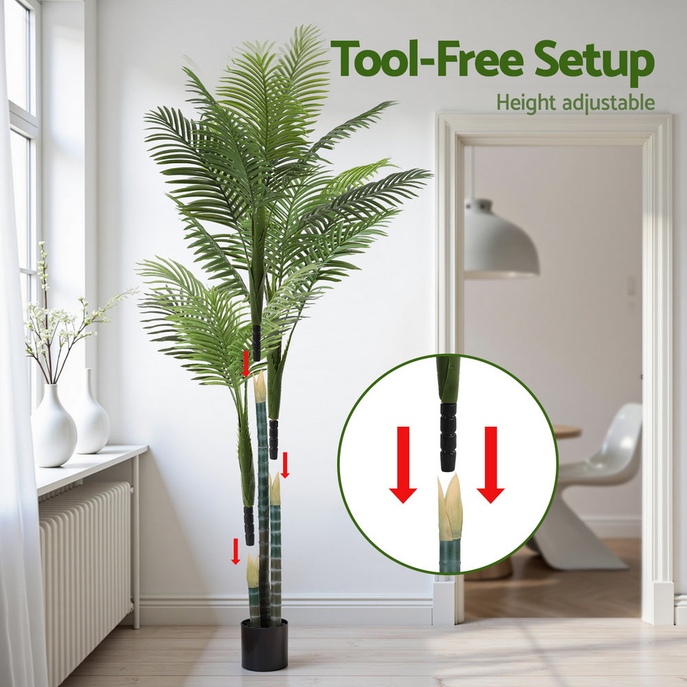 AP-TREE-PALM-180-202511072004-06.jpg