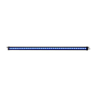 AQUAR-LT-67-BUBBLE-BK-183789-00.jpg