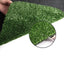 AR-GRASS-10-210M-OL-202502282024-06.jpg