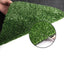 AR-GRASS-15-210M-OL-202502282024-06.jpg
