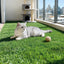 AR-GRASS-50X200-OL-202510211800-04.jpg
