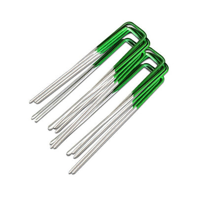 AR-GRASS-PINS-50-202505231805-00.jpg