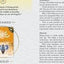 Aboriginal Ancestral Wisdom Oracle