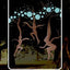 Aboriginal Dreamtime Oracle