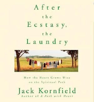 After the Ecstasy the Laundry