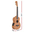 Alpha 26 Inch Solid Mahogany Tenor Ukulele Electric Acoustic EQ System Kit 18 Frets Natural