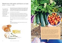 Around the Kitchen Table