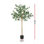 Artiss 150cm Artificial Eucalyptus Tree with Realistic Textured Leaves for Indoor Home Office Decor