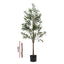 AP-TREE-OLIVE-180-202511052044-03.jpg