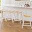 FUR-S-BAR-CHR-01-WDX4-202502281024-06.jpg