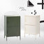 Artiss Buffet Sideboard Metal Cabinet - DOUBLE Green
