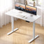 Artiss Electric Standing Desk Height Adjustable Table 120cm White