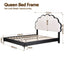 BFRAME-G-COCO-Q-BW-AB-01.jpg