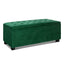 OTM-L2-VEL-GREEN-202502281300-07.jpg