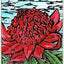 Australian Wildflower Reading Cards