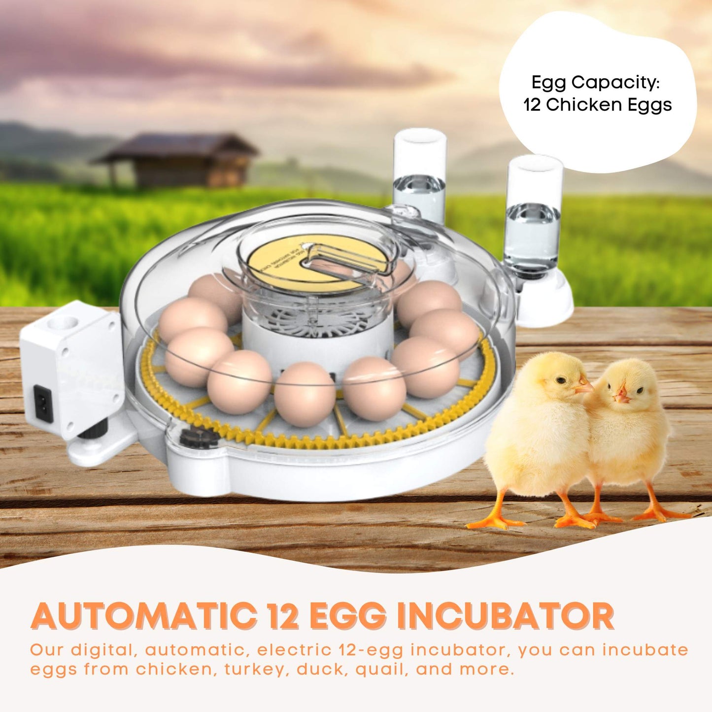 Automatic 12 Egg Incubator - Electric Digital Turning Chicken Quail Duck Hatching