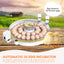 Automatic 35 Egg Incubator - Electric Digital Turning Chicken Quail Duck Hatching