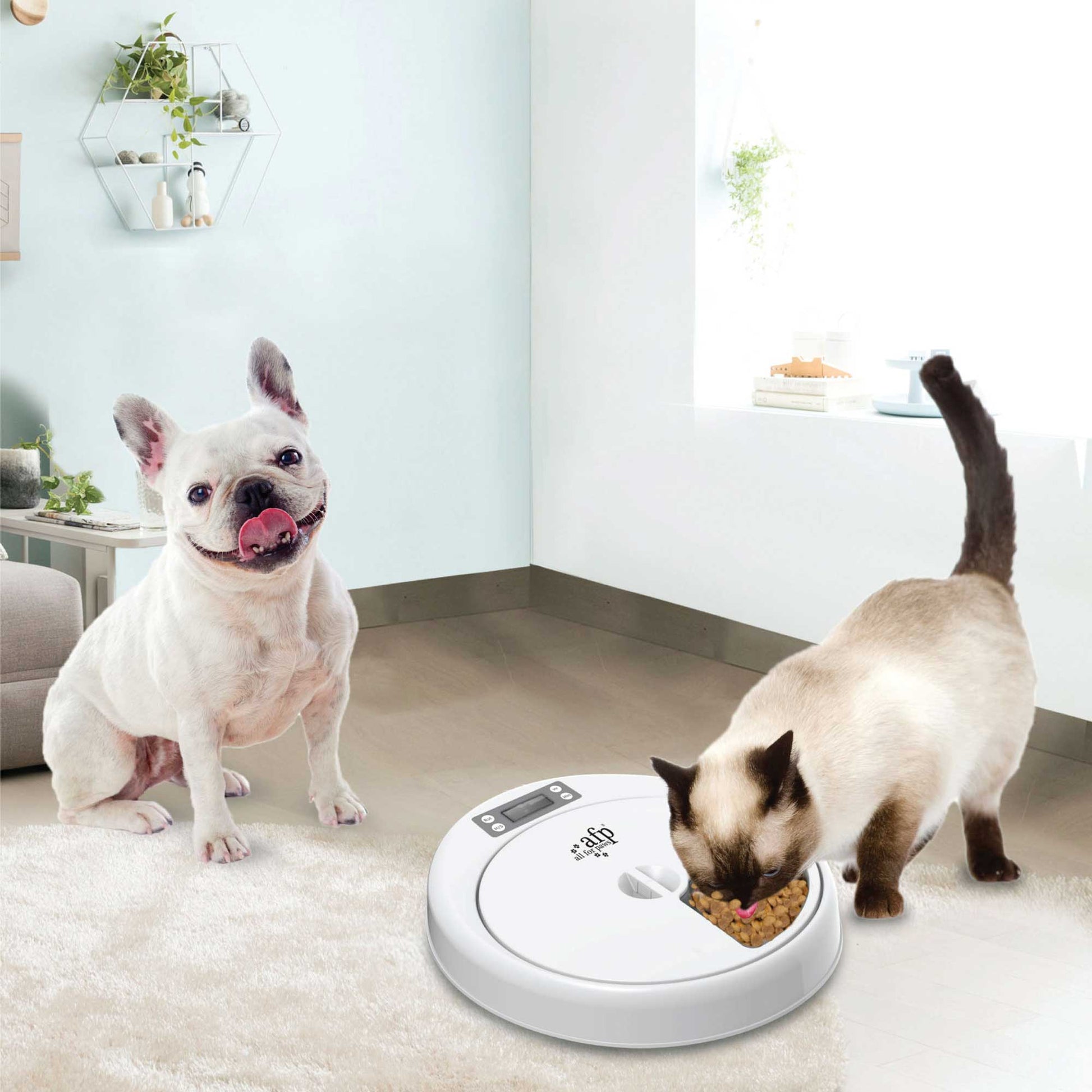 Automatic 5 Meal Pet Timed Feeder - Dog Cat Feeding Timer Food Dispenser Bowl