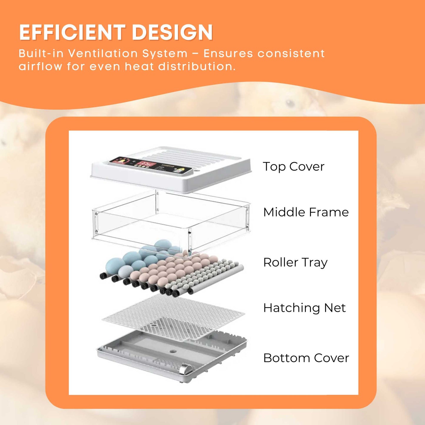 Automatic 70 Egg Incubator - Electric Digital Turning Chicken Quail Duck Hatching