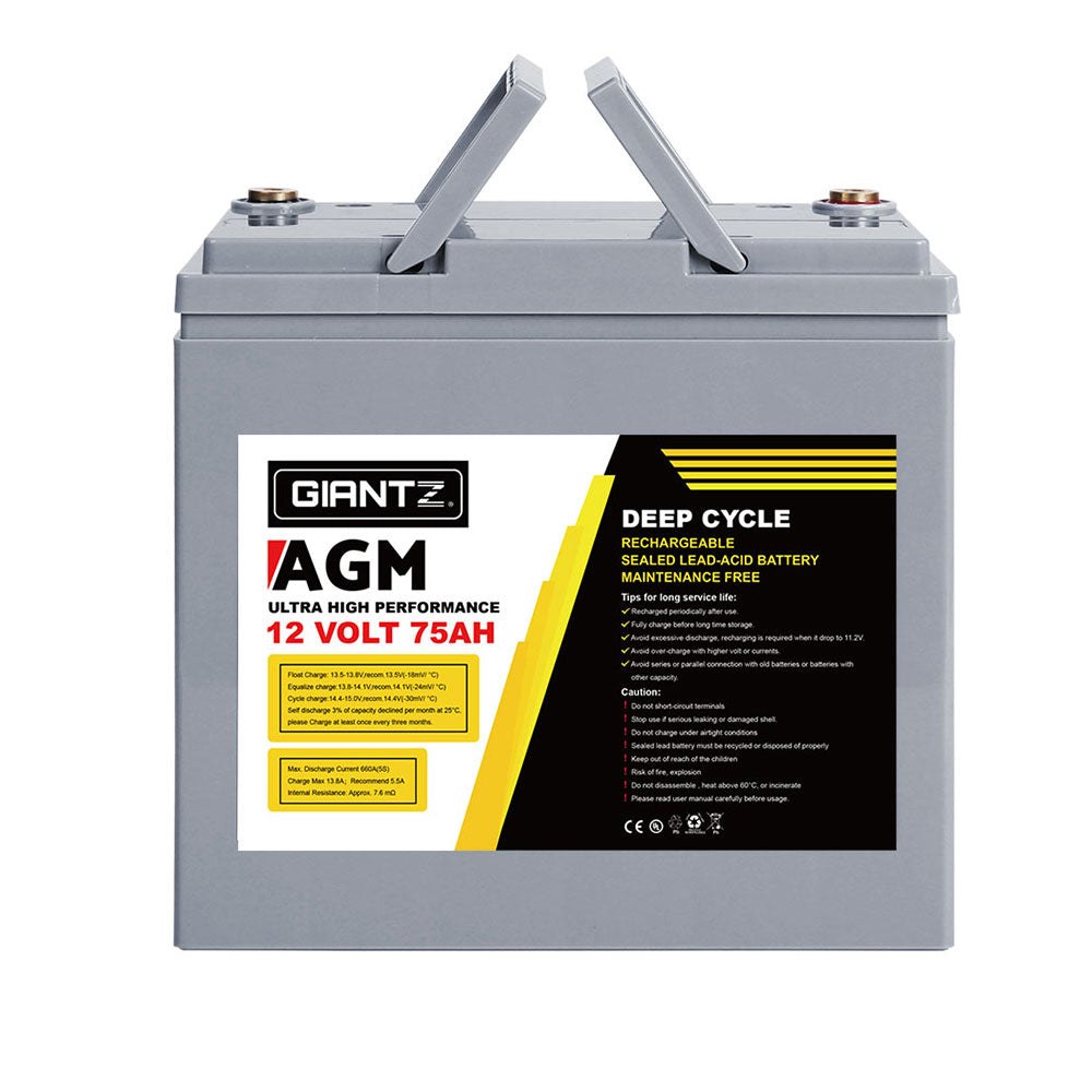 BATTERY-C-AGM-75X2-139225-02.jpg