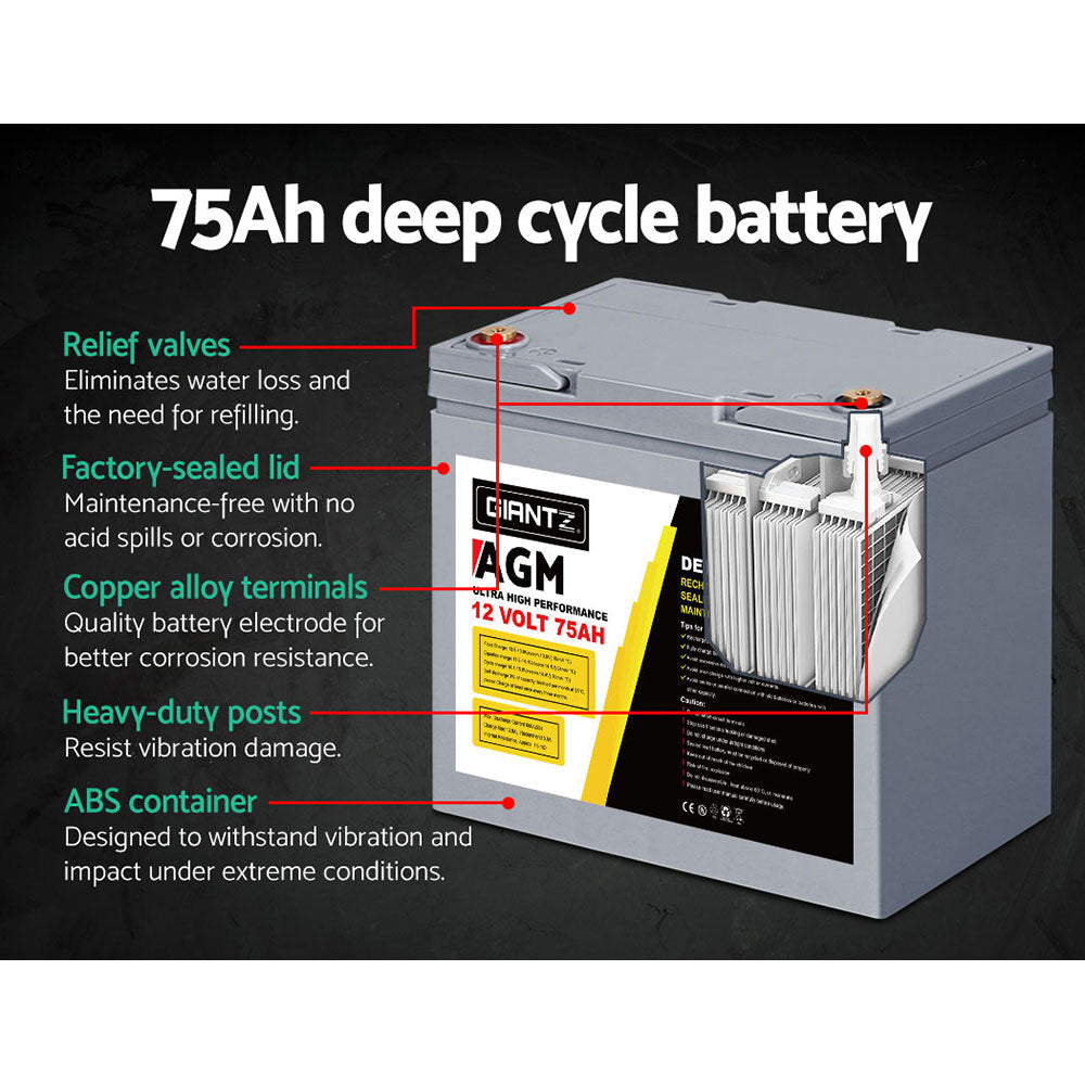 BATTERY-C-AGM-75X2-139225-03.jpg