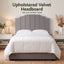 BED-HEAD-WING-D-GY-03.jpg