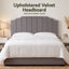 BED-HEAD-WING-K-GY-03.jpg
