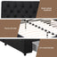 BFRAME-G-LUNA-K-BK-ABC-08.jpg