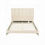 BFRAME-G-ZENITH-D-BG-ABC-02.jpg