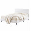 BFRAME-H-COZEY-Q-BG-AB-08.jpg