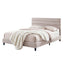 BFRAME-H-COZEY-Q-BG-AB-202601141406-08.jpg