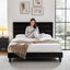 BFRAME-H-HUSH-Q-BK-AB-202601261122-03.jpg