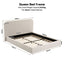 BFRAME-H-MUSE-Q-WH-ABC-02.jpg