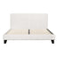 BFRAME-H-NEO-D-TED-AB-61288-02.jpg