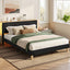 BFRAME-H-ROYCE-Q-BK-AB-202602051442-00.jpg