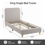 BFRAME-H-VIC-KS-BG-AB-02.jpg