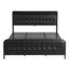 BFRAME-J-MARK-K-BK-AB-02.jpg