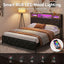BFRAME-J-MEL-K-BK-AB-06.jpg