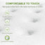 BFRAME-SET-NEO-PC-34-D-202512251304-05.jpg