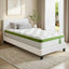 BFRAME-SET-NEO-TED-S-202601121800-00.jpg