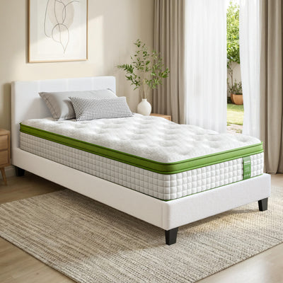BFRAME-SET-NEO-TED-S-202601121800-00.jpg