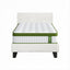 BFRAME-SET-NEO-TED-S-202601121800-02.jpg