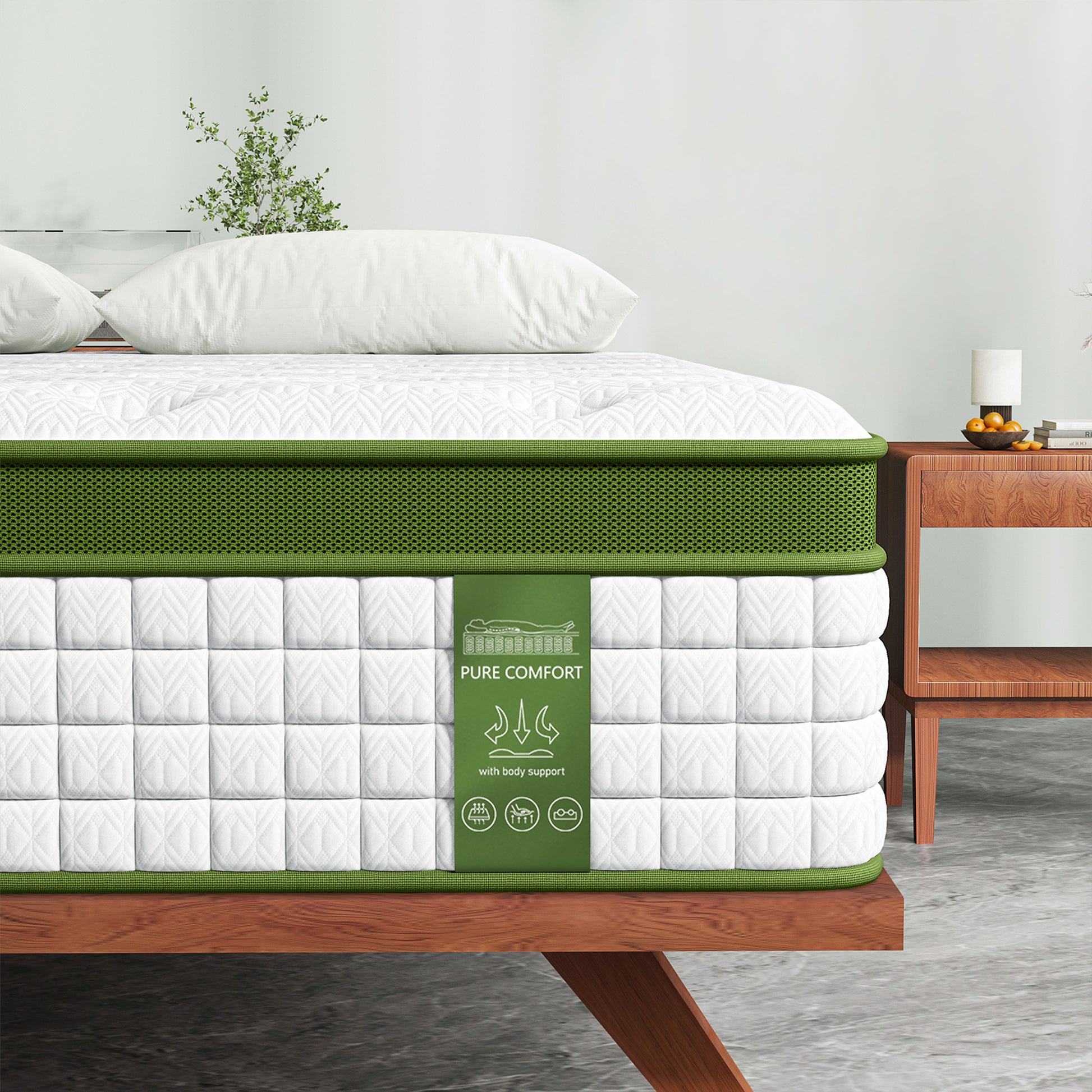 BFRAME-SET-NEO-TED-S-202601121800-07.jpg