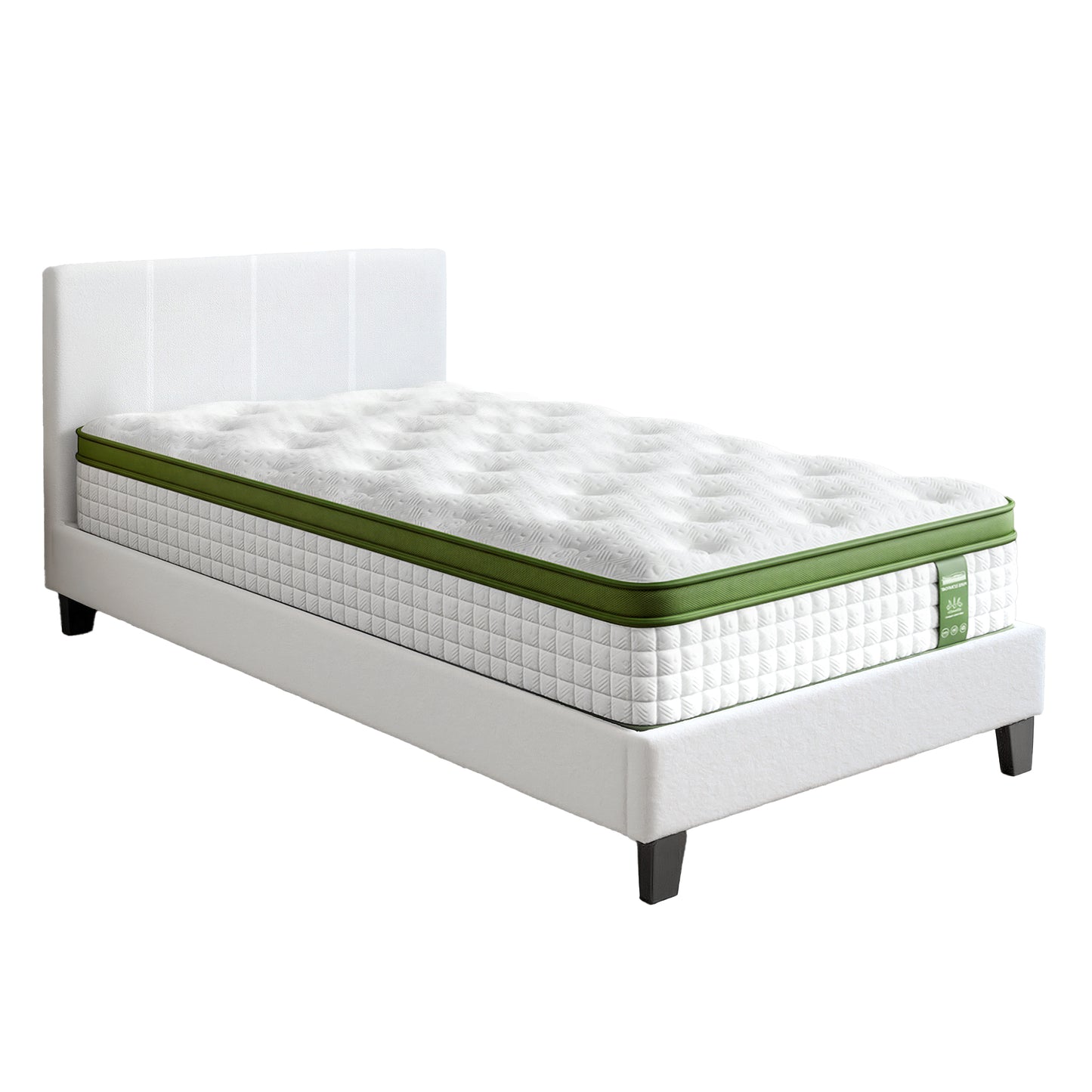 BFRAME-SET-NEO-TED-S-202601121800-10.jpg