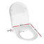 Non Electric Bidet Toilet Seat Bathroom - White